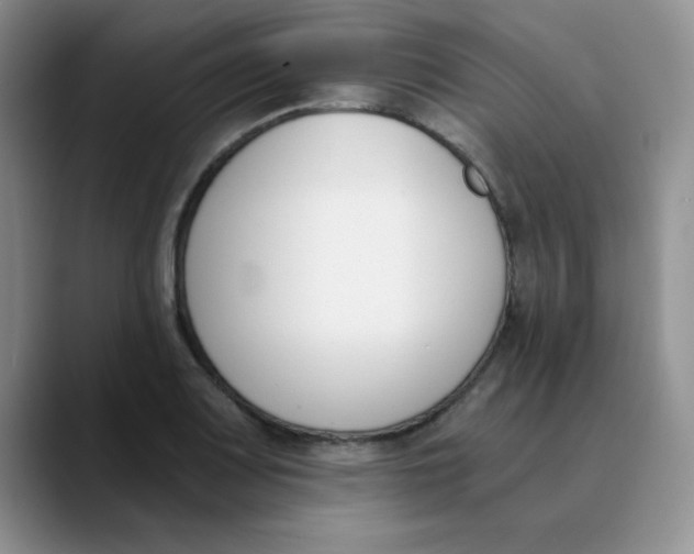 X0000089851083200707191858