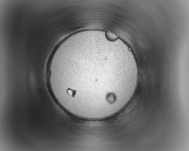 X0000089851087200707191858