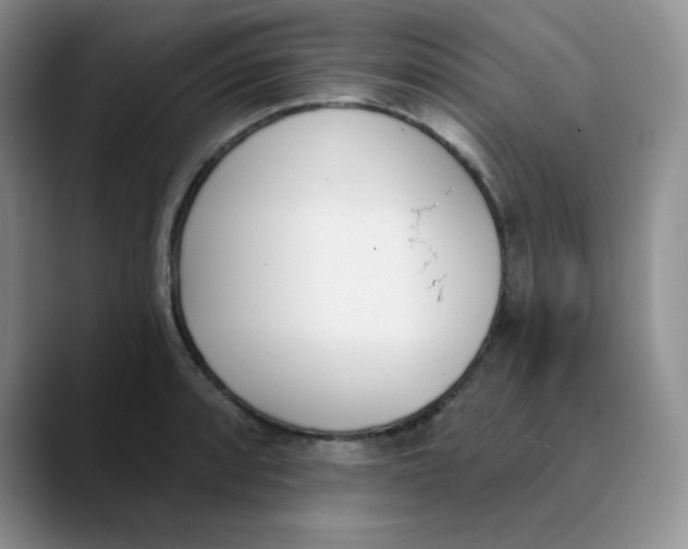 X0000089851088200707191858