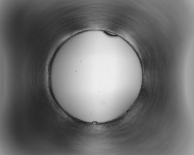 X0000089851096200707191858