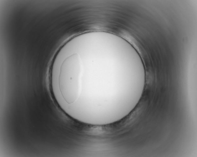 X0000089851098200707191858