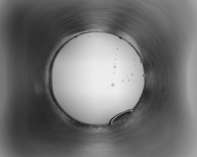 X0000089851099200707191858