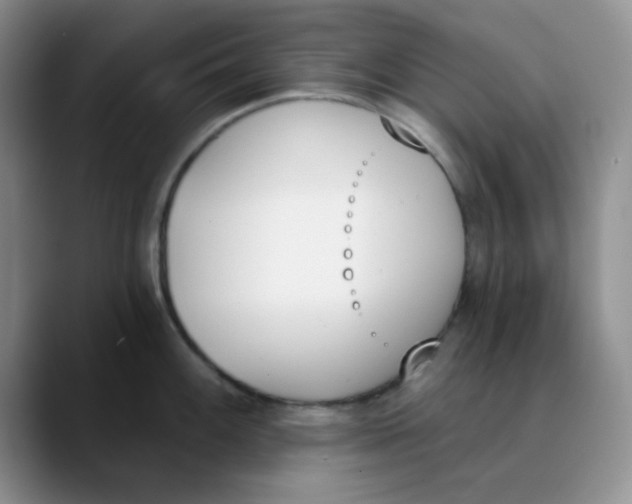 X0000089851100200707191858