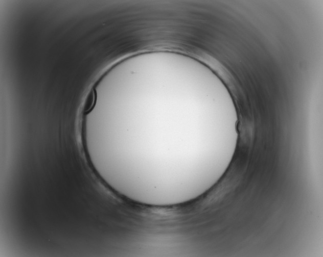 X0000089851102200707191858