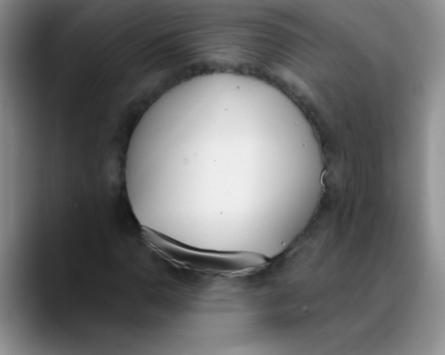 X0000089851110200707191857