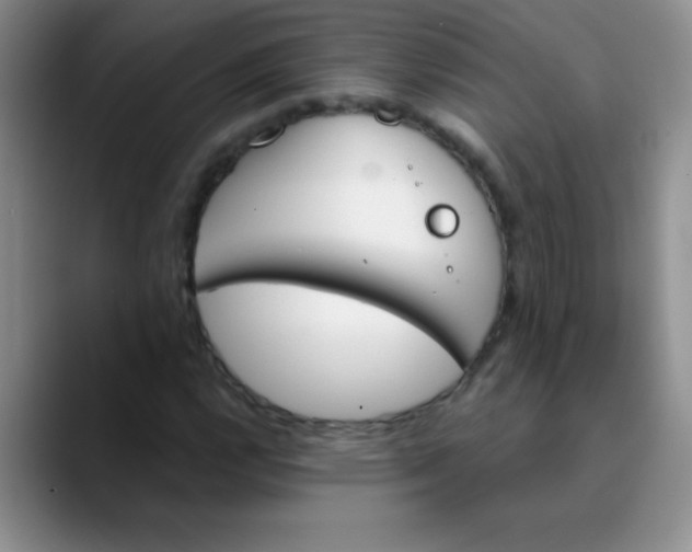 X0000089851112200707191857