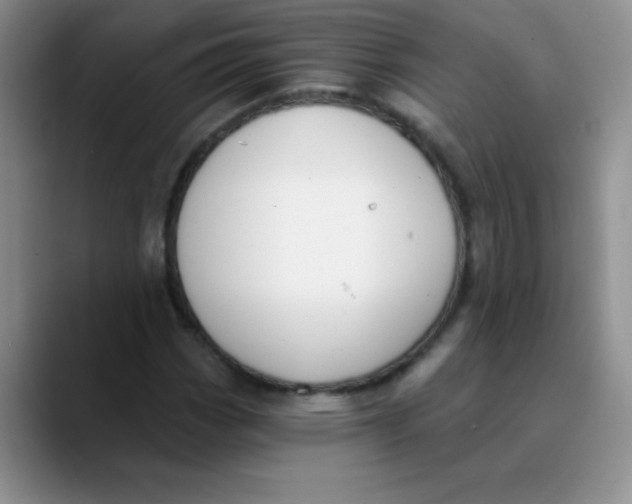 X0000089851113200707191857