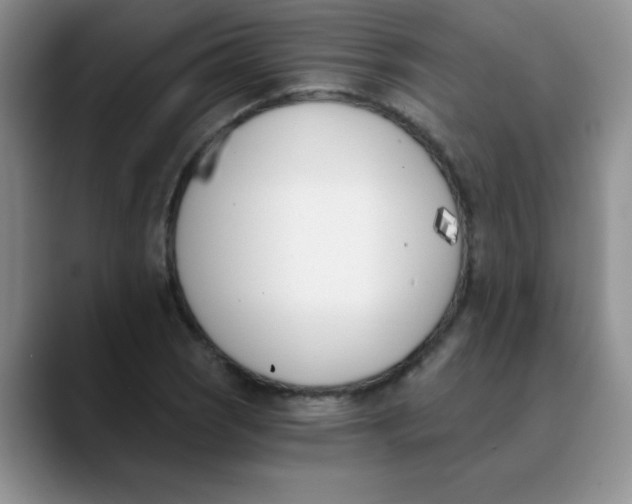 X0000089851121200707191857