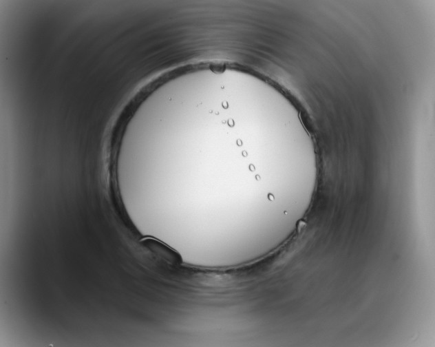 X0000089851124200707191857