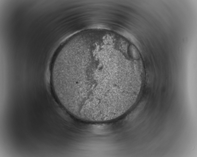 X0000089851125200707191857