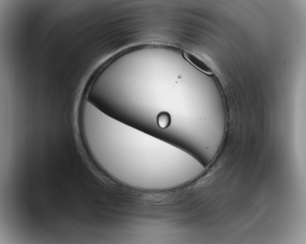 X0000089851128200707191857