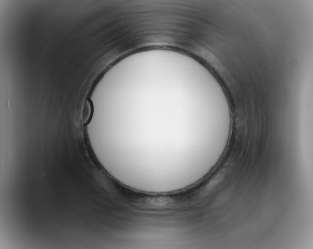 X0000089851129200707191857