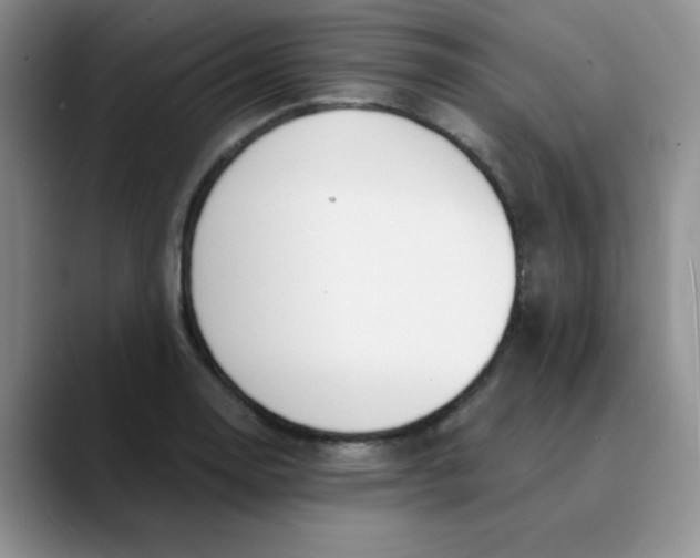 X0000089851130200707191857