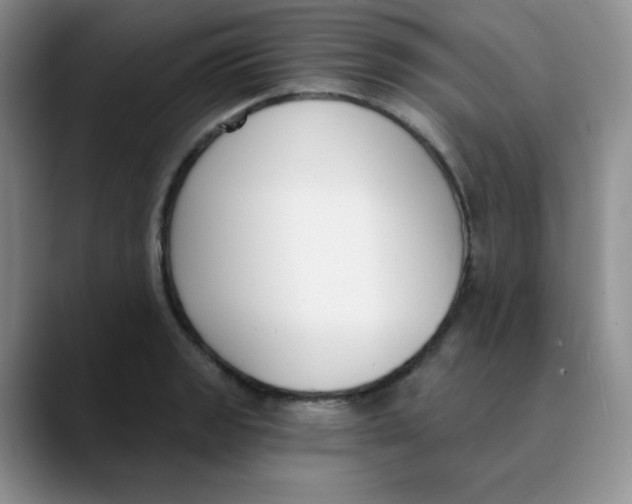 X0000089851133200707191857