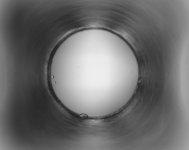 X0000089851134200707191857