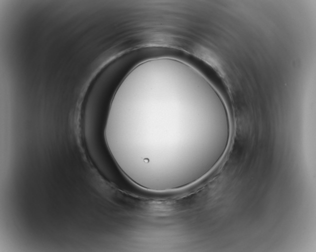 X0000089851138200707191857