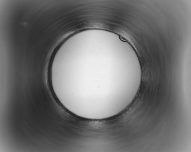 X0000089851139200707191857