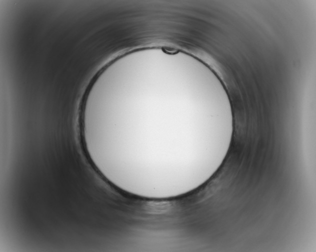 X0000089851142200707191857