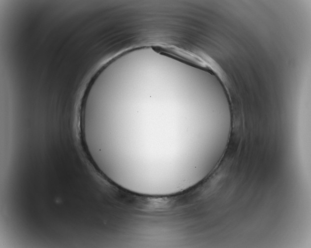 X0000089851144200707191857