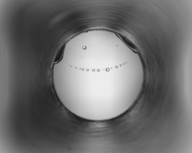 X0000089851145200707191857