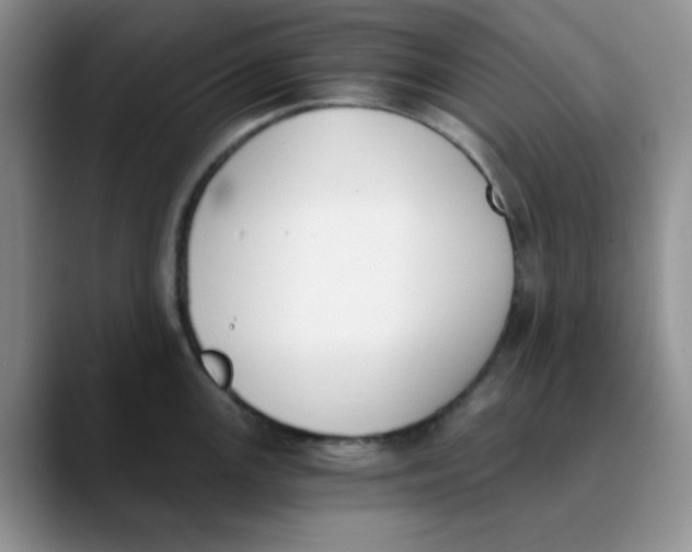 X0000089851147200707191857