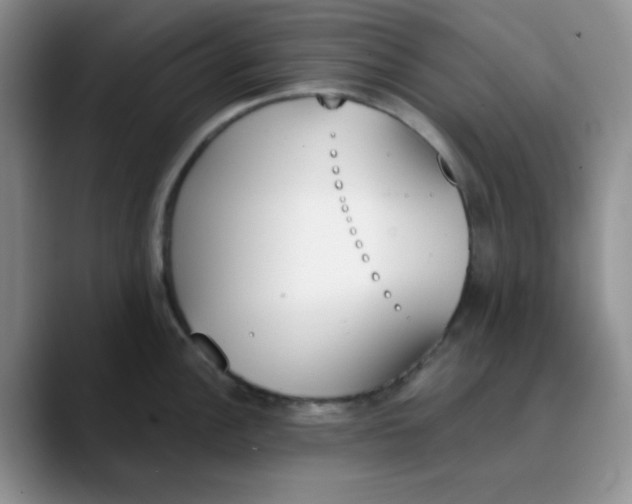 X0000089851148200707191858