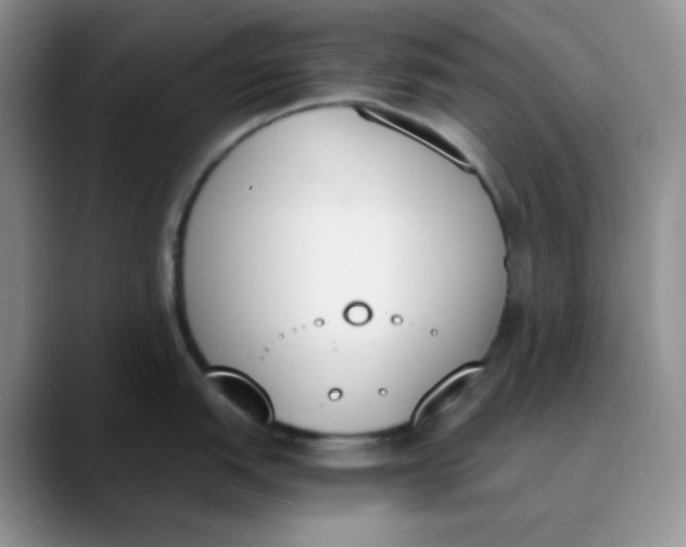 X0000089851151200707191858