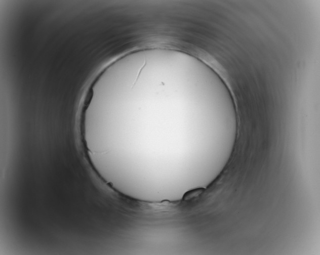 X0000089851152200707191858