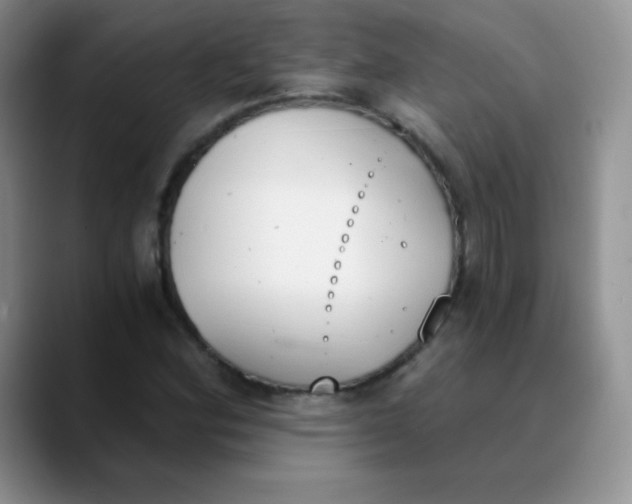 X0000089851164200707191857