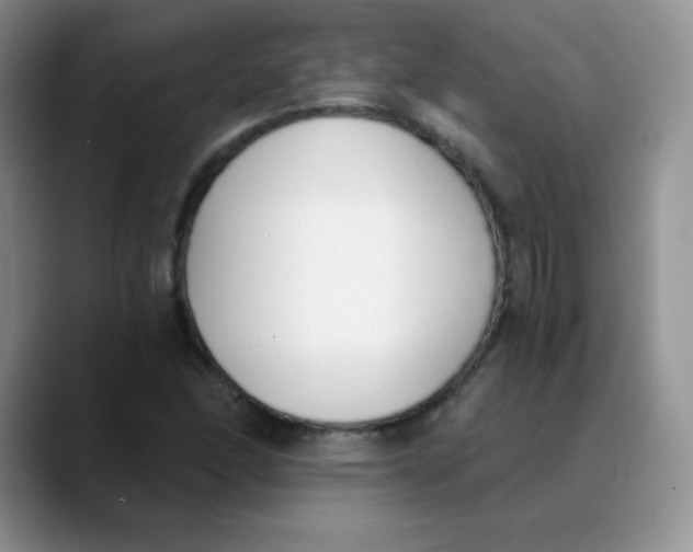 X0000089851166200707191857