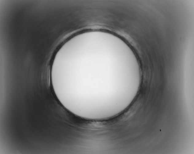 X0000089851175200707191857