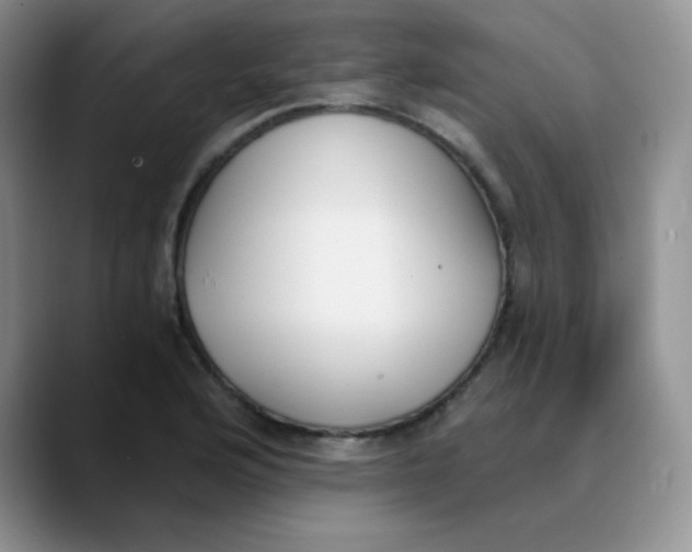 X0000089851176200707191857