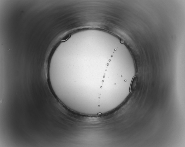 X0000089851180200707191857