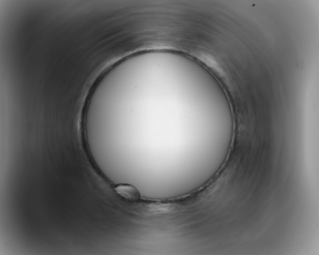 X0000089851181200707191857