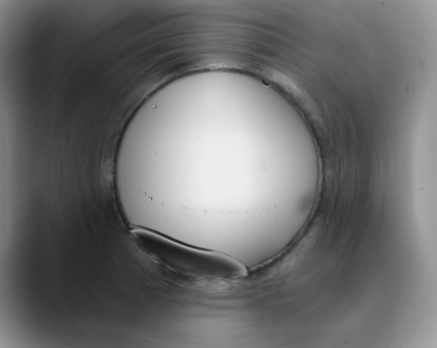 X0000089851185200707191857