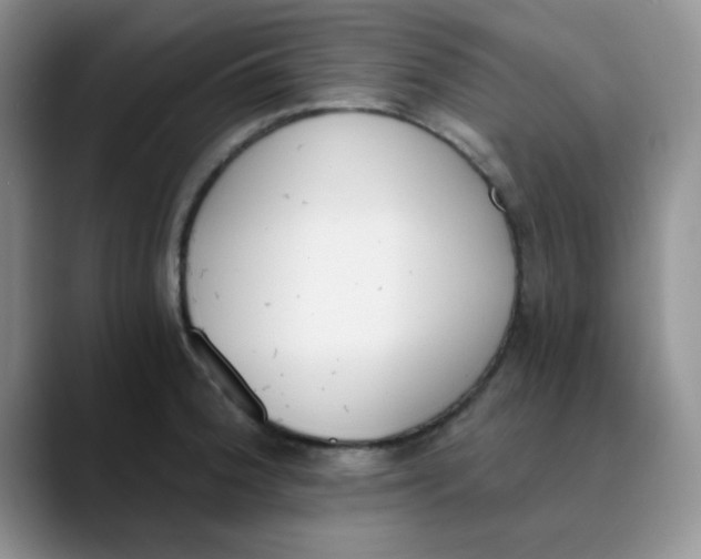 X0000089851188200707191857