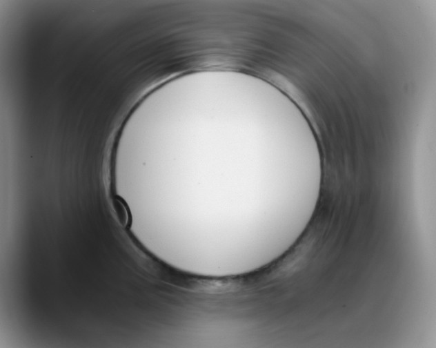 X0000089851195200707191857