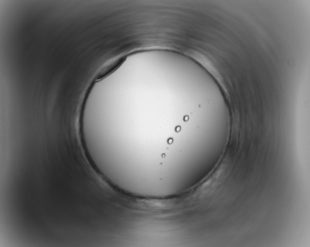 X0000089851197200707191856