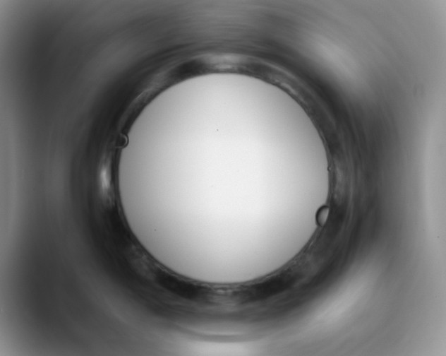 X0000089851198200707191856