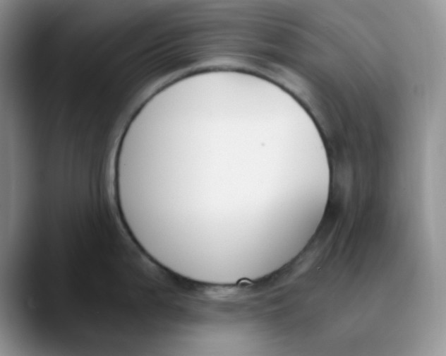 X0000089851199200707191856