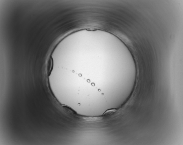 X0000089851200200707191856