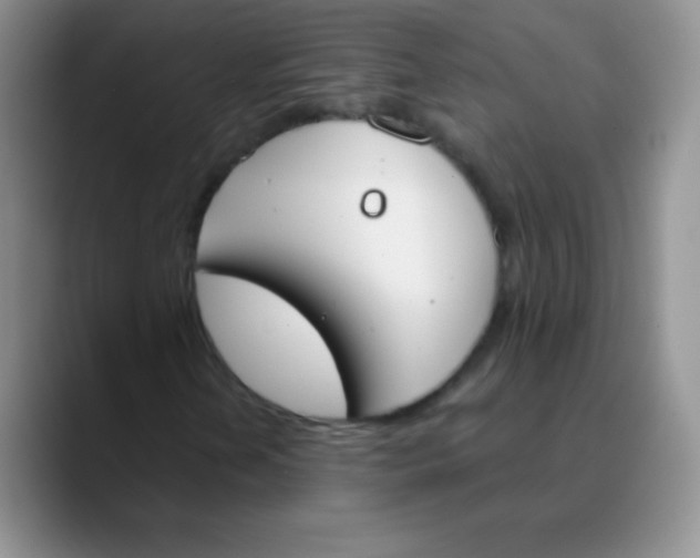 X0000089851202200707191856