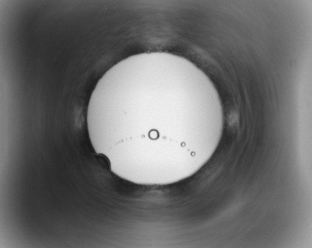 X0000089851204200707191856