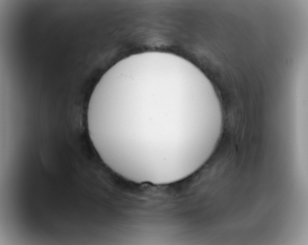 X0000089851205200707191856