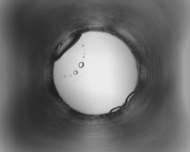 X0000089851208200707191856