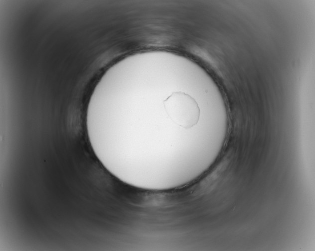 X0000089851211200707191856