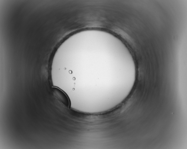 X0000089851212200707191856