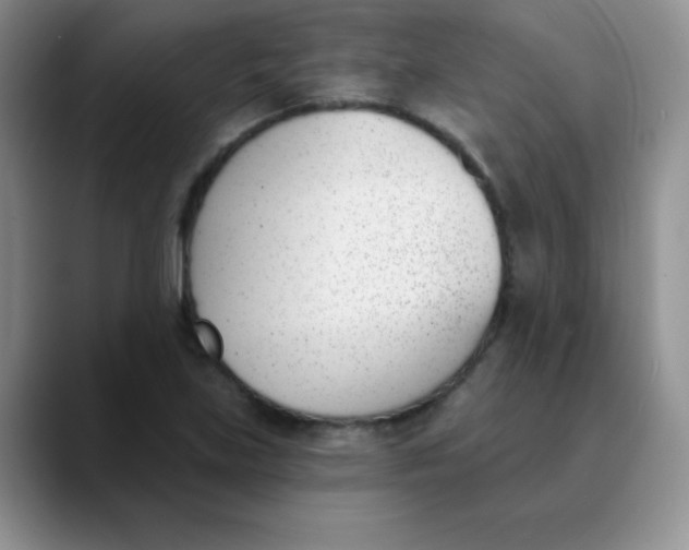 X0000089851219200707191856