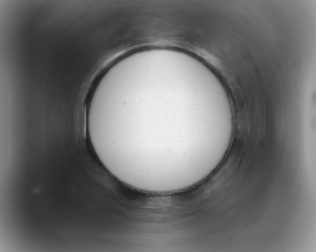 X0000089851223200707191856