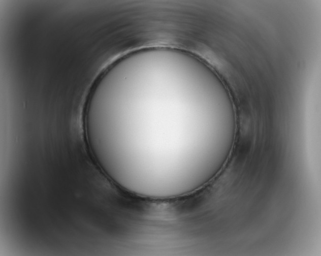 X0000089851230200707191856